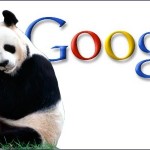 Tips to Revive Your Website After Deadly Google Panda Update