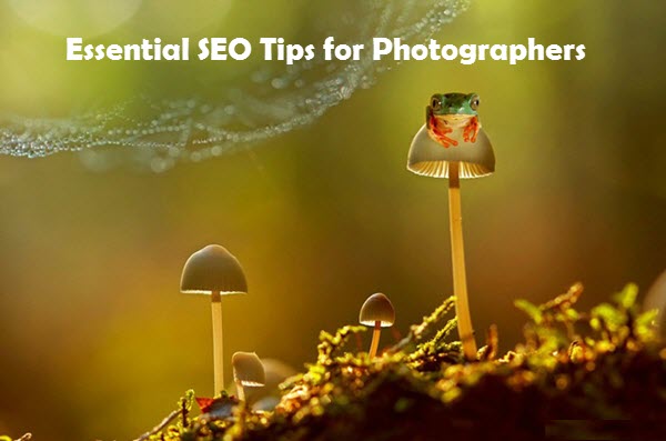 Essential SEO Tips for Photographers