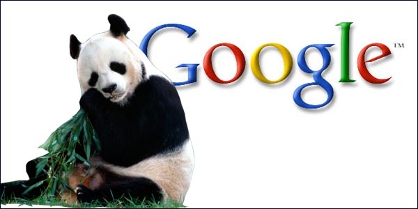 SEO Strategies You Need to Change After Google Panda Update