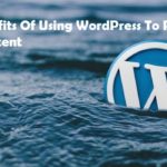 SEO Benefits Of Using WordPress To Publish Your Content