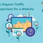 Why Organic Traffic is Important for a Website?