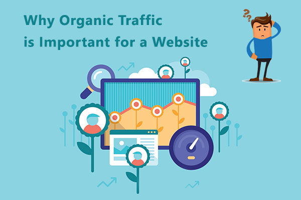 Why Organic Traffic is Important for a Website